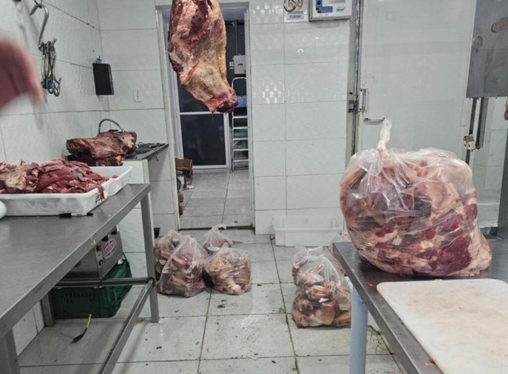 Mais de 300 kg de carnes mofadas e sujas são apreendidas Agência GBC