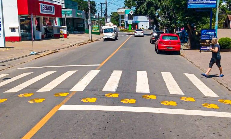 Nova Santa Rita agora tem faixa exclusiva para animais atravessarem a rua