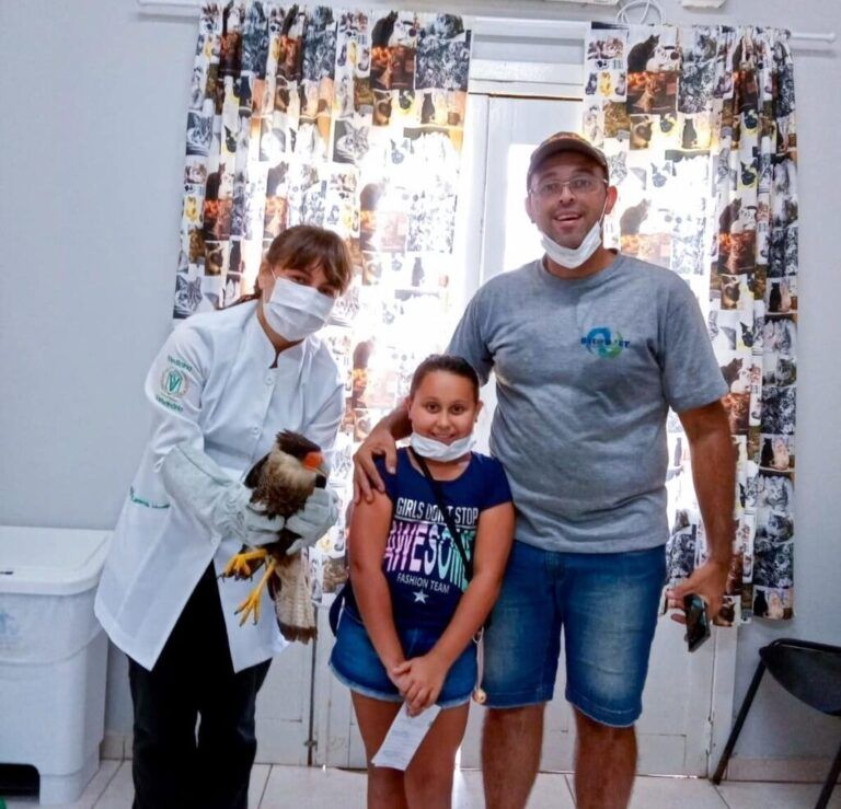 Criança de Nova Santa Rita resgata ave e apelida de “Gaga”