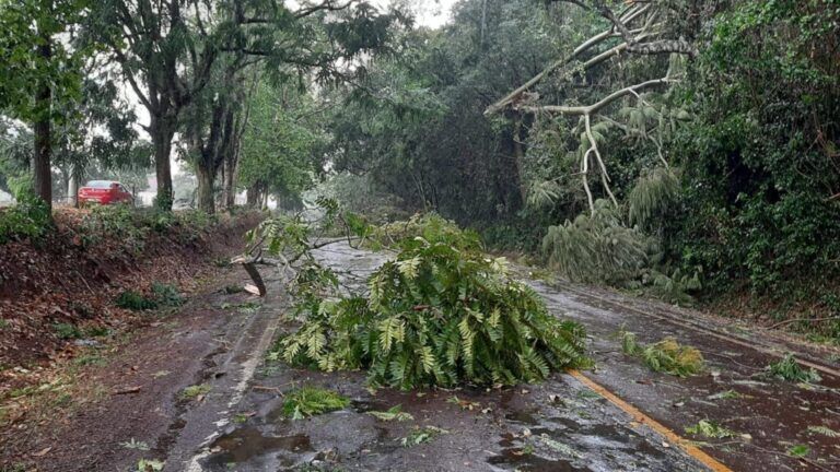 APÓS O CALORÃO | Temporal deixa rastro de destruição