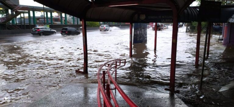 RASTRO DE DESTRUIÇÃO | Temporal deixa pontos de alagamento e árvores caídas em Canoas