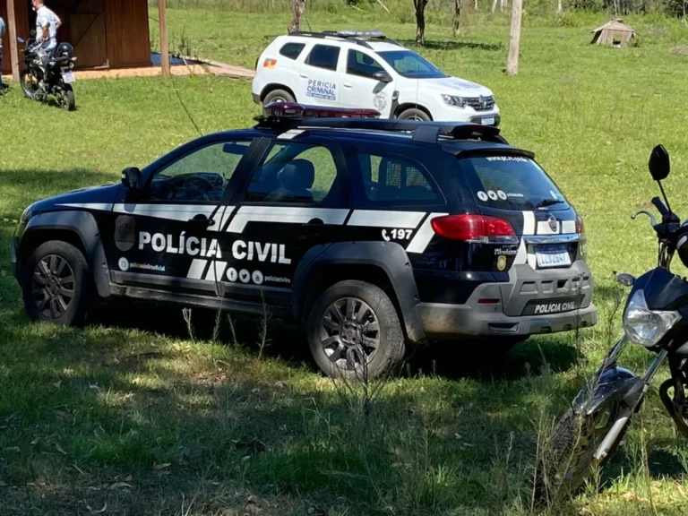 Motoboy morre após levar picada de abelha no rosto