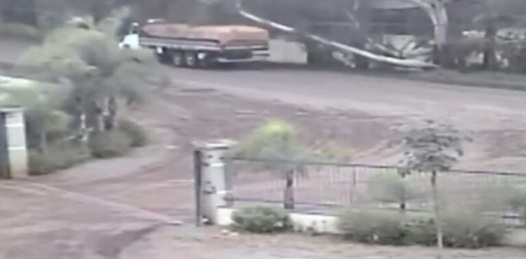 POR POUCO | Caminhoneiro se salva por pouco de árvore que cai sobre a rodovia