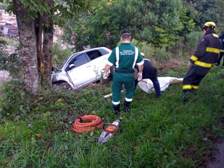 Motorista morre após carro bater em árvore