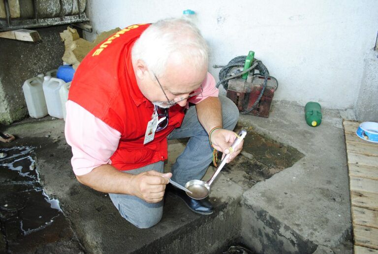 DENGUE EM CACHOEIRINHA | Confirmados três novos casos de dengue contraídos na cidade￼