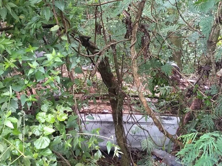 Ladrão abandona carro roubado com criança morta dentro