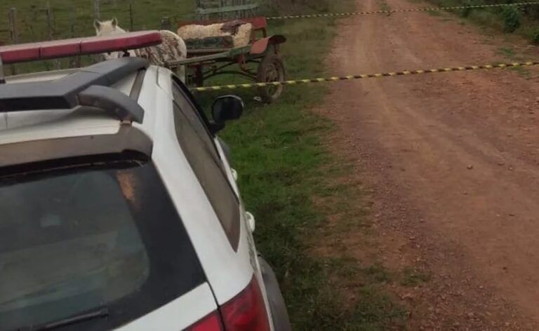 OLHA ESSA | Homem mata idoso a pauladas e grita para a polícia confessando o crime