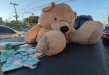 URSO DO MAL EM CANOAS | Traficante escondia dinheiro e drogas dentro do animal de pelúcia