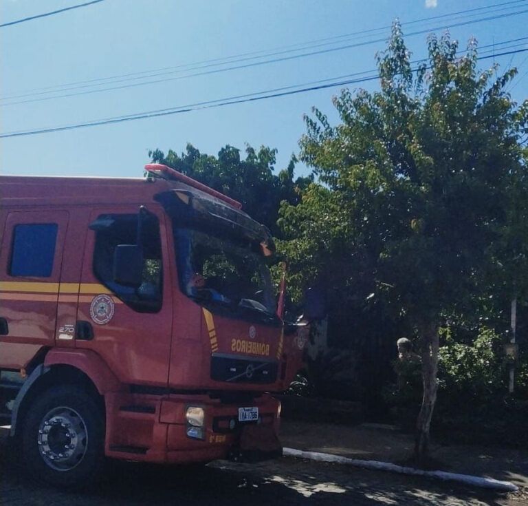 INVADIU O QUARTO | Idosas de 84 e 64 anos ficam feridas após ataque de cachorro