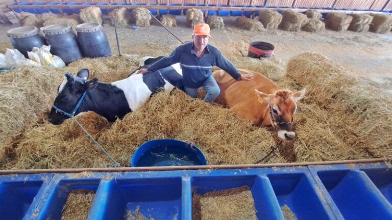 Valentina e Maraísa esperam visitantes na Expoleite em Esteio