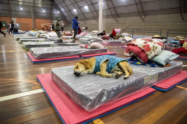 Prefeitura de Canoas confirma que vai ter abrigo para moradores de rua no inverno