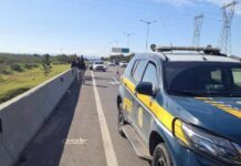 Homem é encontrado morto nas margens de rodovia em Canoas