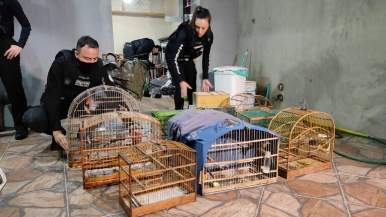 Caçador entrega capivara viva para cachorros comerem em Canoas