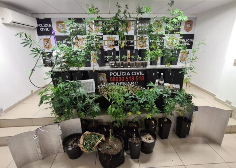 CAIU A CASA | Polícia encontra laboratório de maconha