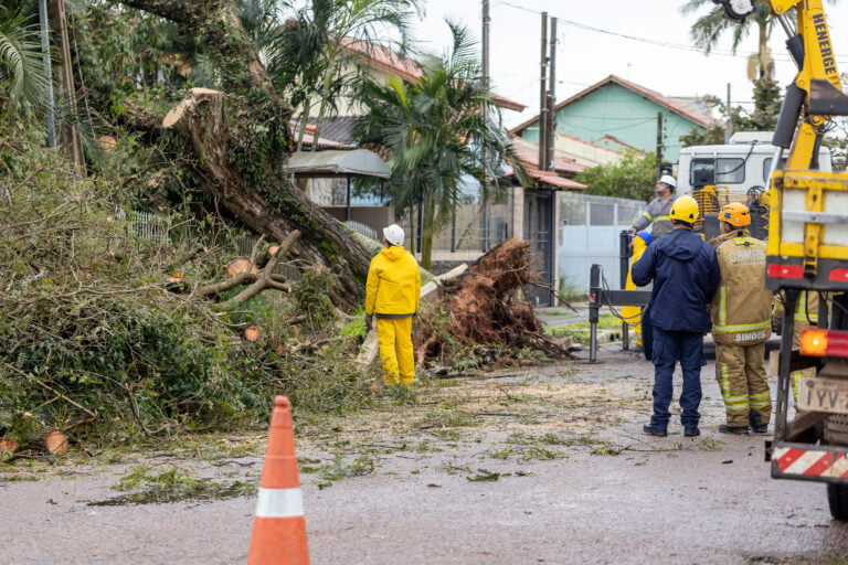 Depois do temporal em Canoas, o golpe: quando o ser humano mostra o seu lado mais cruel