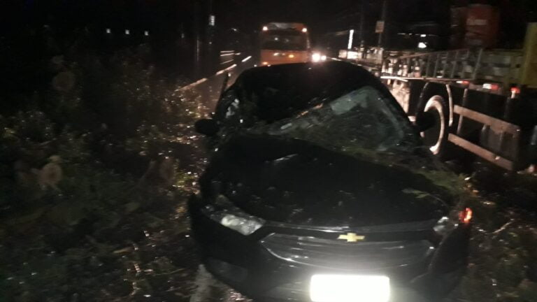Árvore cai em cima de carro e bloqueia avenida após temporal em Canoas