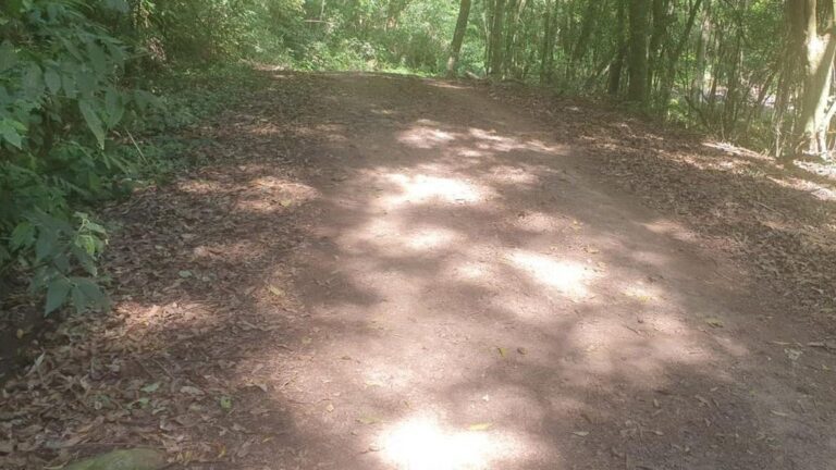 Motorista de aplicativo é encontrado morto com tiros no rosto