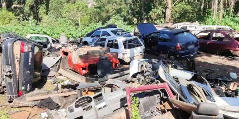 Desmanche clandestino escondido em matagal tem ao menos 16 carros “depenados”