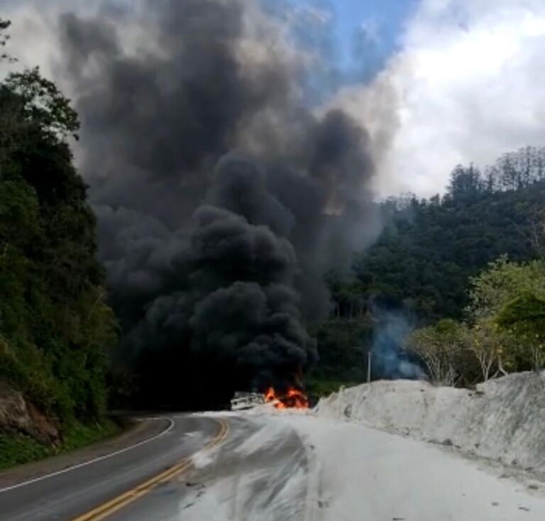 Caminhão carregado de farinha pega fogo na BR-386