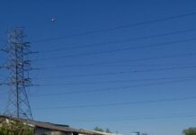 Fotos mostram operação da Polícia Civil e Brigada Militar contra matadores em Canoas