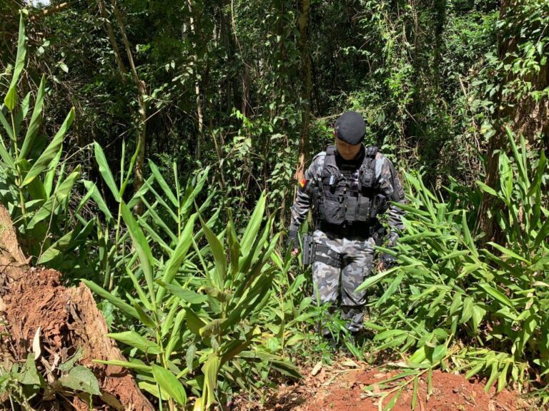 Homem é encontrado morto em matagal com diversas marcas de tiros