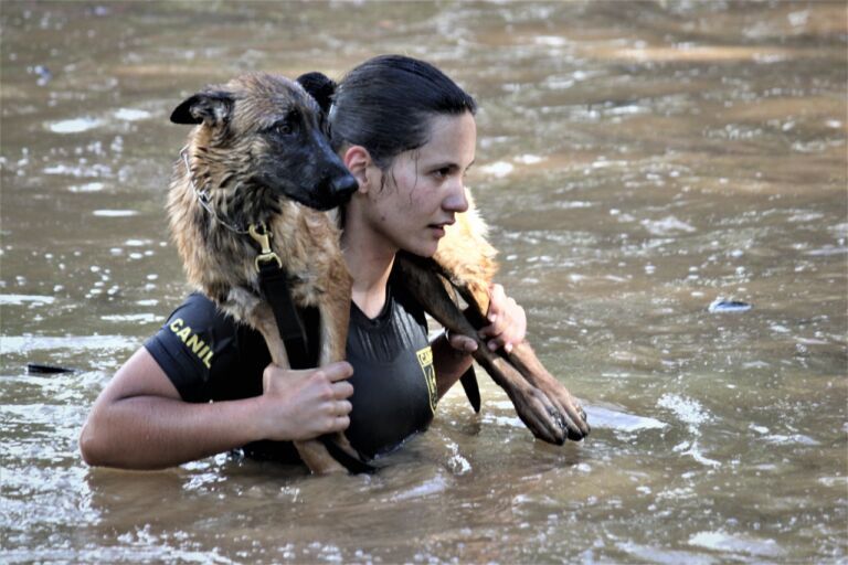 Brigada Militar dá treinamento de guerra para Exército, Polícia Civil, PRF e Polícia Penal em Canoas