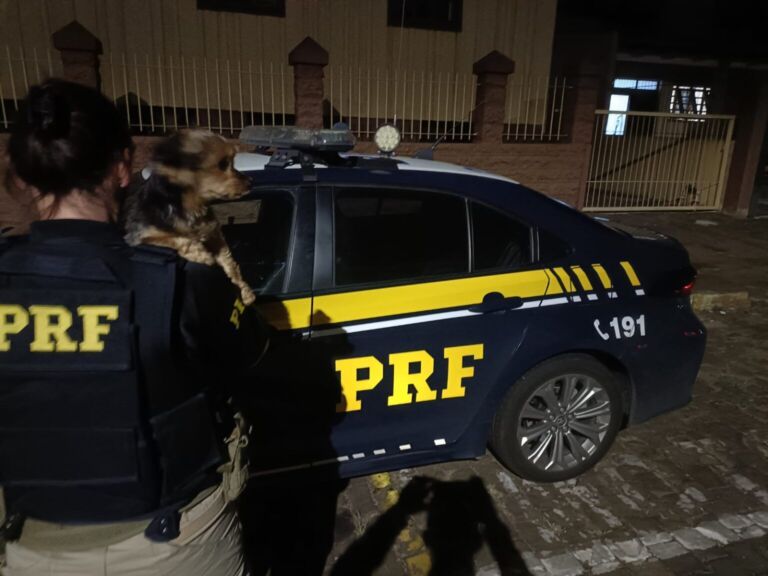 ROUBARAM A BELINHA | Cadela é roubada de criança com deficiência na BR-386