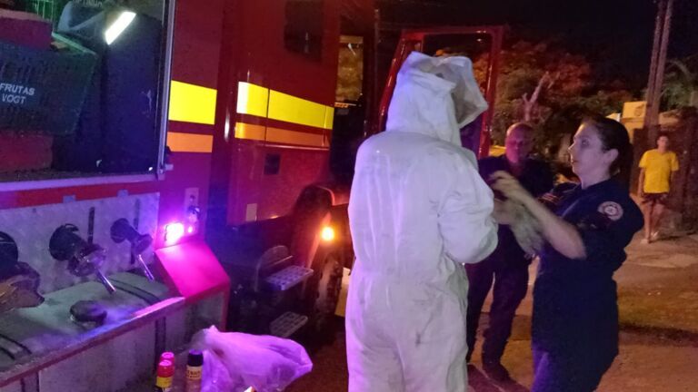 Família de Canoas chama bombeiros após infestação de marimbondos