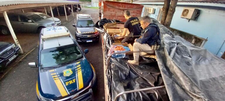 Polícia prende motorista de caminhão com R$ 1 milhão em camarão