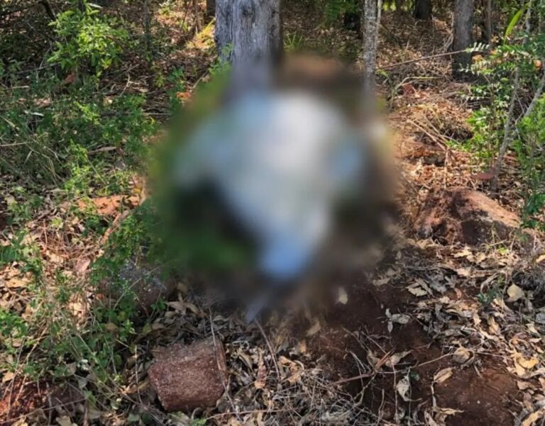 Adolescente é encontrado morto