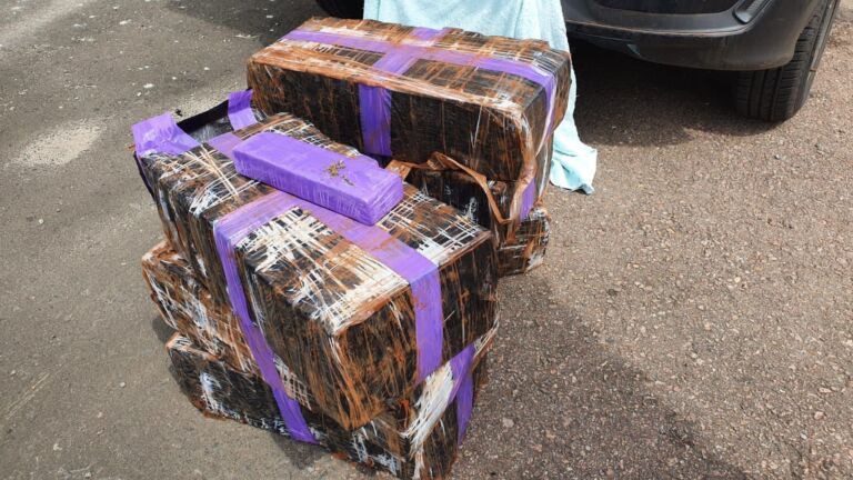 Mulheres são presas com quase 100kg de maconha na BR-116