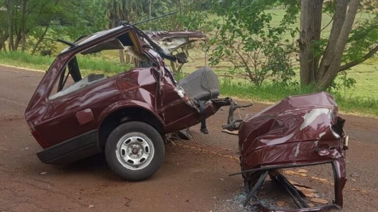 Carro se parte ao meio ao colidir contra árvore