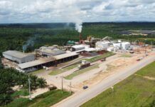 BBF emite debêntures para projetos na região amazônica