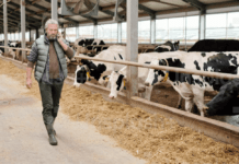 Política de inovação leva mais tecnologia para o campo