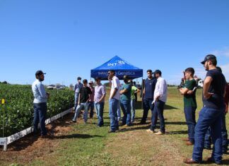 XX Feira Agropecuária acontece nesta semana em Campo Mourão