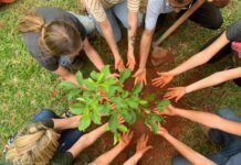 Empresas e ONGs: juntas pelo meio ambiente