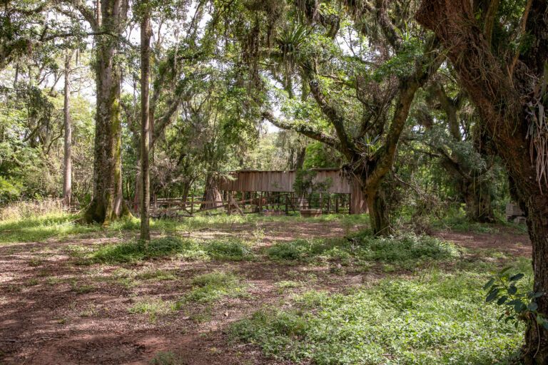 Secretaria do Meio Ambiente e UniLasalle lançam parceria para participação em edital milionário