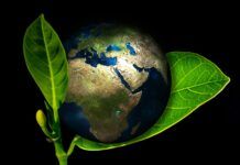 Zero Summit apresenta ideias para futuro livre de emissões de CO2