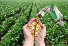 Governo prepara anúncio de mais biodiesel na mistura ao óleo diesel