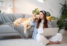 Dupla de amigos cria rede social para pets