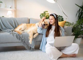 Dupla de amigos cria rede social para pets