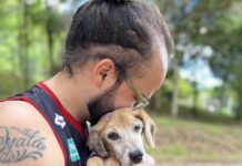 Como as doenças neurodegenerativas afetam os animais?