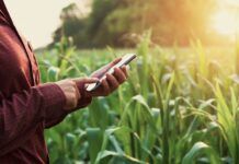 Digitalização do agronegócio cresce no país