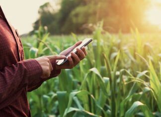 Digitalização do agronegócio cresce no país