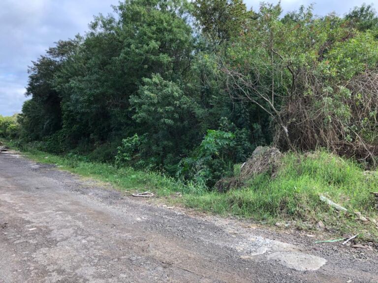 Assaltante e matador de facção é encontrado morto dentro de saco plástico em Canoas