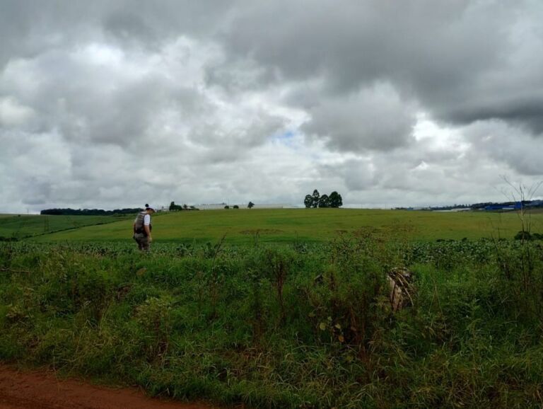 Corpo de homem é encontrado com marcas de tiro e mãos amarradas