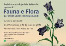 Goeldi: exposição Fauna e Flora Brasileira retorna a Belém-PA a partir de 20/03