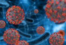 Pós-pandemia: sequelas da Covid-19 preocupam médicos