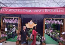 Fim de semana paulista tem exposição e palestras gratuitas sobre orquídeas