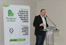 Startup brasileira lança certificação em bem-estar de frangos na América